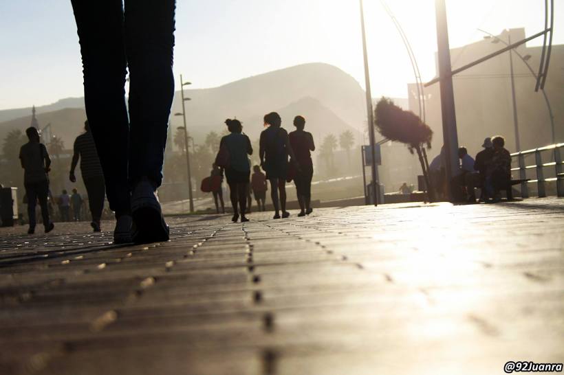 1294447_757889457634470_1768064870191998515_o