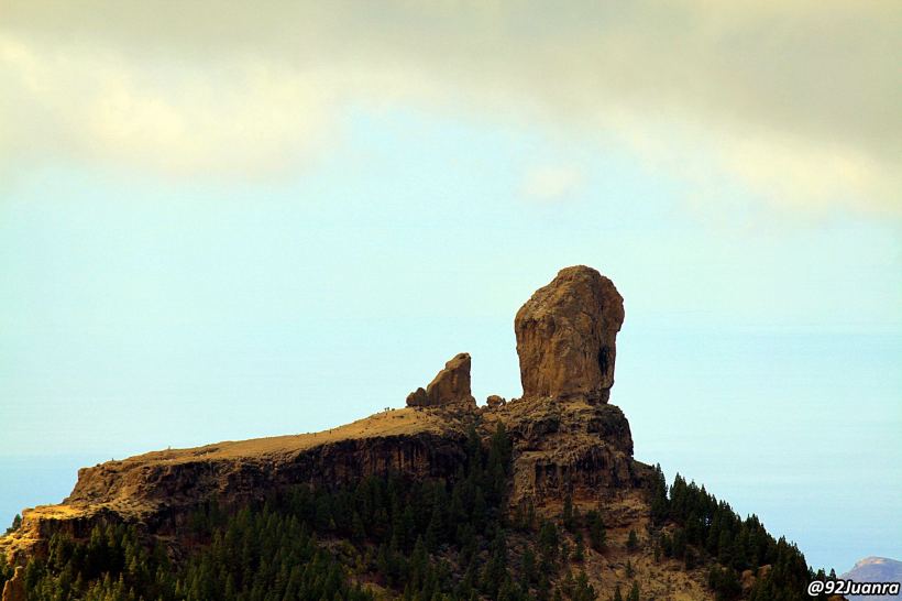 893713_428507807239305_1544051638_o