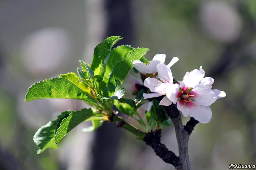 901166_428508663905886_456785098_o