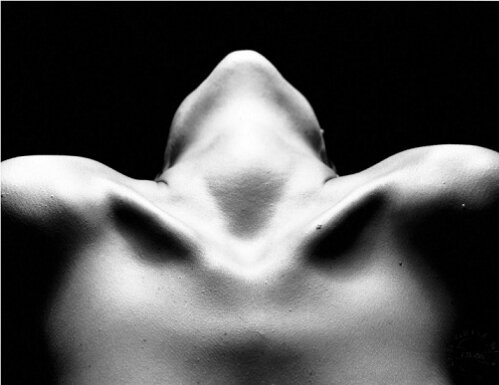 wpid-desnudos-artisticos